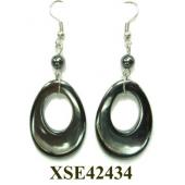 Hematite Earrings